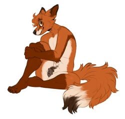 andromorph animal_genitalia animal_pussy anthro canid canine canine_pussy claws cuntboy fox genitals hoot_(artist) intersex kaimstain mammal nude original original_character pussy simple_background sitting solo toe_claws white_background