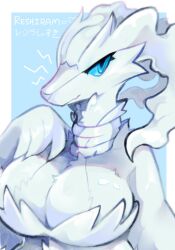 legendary pokemon from nintendo by pawberri