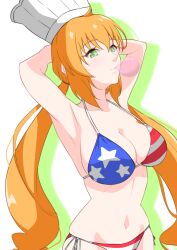 1girls american_flag_bikini armpits arms_behind_head big_breasts bikini blonde_hair breasts busty chewing_gum cleavage female female_only flag_print green_eyes highres large_breasts looking_at_viewer low_twintails monica_adenauer navel pose posing sensual smile solo swimsuit twintails yakitate!!_japan