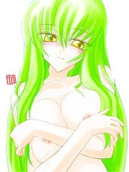 1girls big_breasts breasts c.c. calypso code_geass green_hair long_hair tagme yellow_eyes