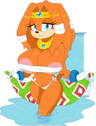 Sonic (Series) Rule 34 Image
