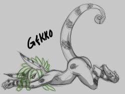 anthro ass balls gekk0 gekko_(character) genitals lizard looking_at_viewer lying male nude nude_male on_front raised_tail reptile scalie solo stretching