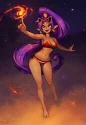 bikini clothed clothing dark_skin female fiship full_body midriff shantae shantae_(character) smile smooth_skin solo solo_female swimwear