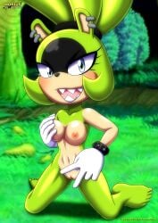 Mobian (Species) Rule 34 Image