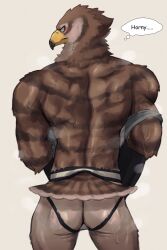 1boy 2020 2:3 absurd_res accipitrid accipitriform anthro ass avian back_muscles bird bodily_fluids brown_body brown_feathers brown_stripes clothing dialogue english_text feathers furrowed_brow grey_clothing grey_shirt grey_topwear hi_res jockstrap jockstrap_only k0bit0wani looking_aside male male_only nude rear_view shirt solo stripes sweat tail_feathers text thought_bubble topwear underwear undressing