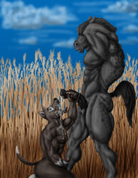 2boys bukkake canine cum cum_in_mouth equine field fox furry gay horse horsecock male masturbation muscles no_humans penis sudonym