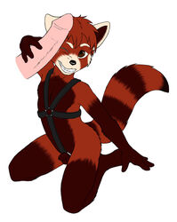 bencoon cock_ring disembodied_penis gay harness kneeling leather male nude one_closed_eyes penis red_panda reverse_countershading uncut