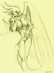 2003 anthro avian ayame_emaya breasts canine cockatoo dingo female fur furry gryphon nude pico_(susan_eikenburg) pussy sketch solo standing