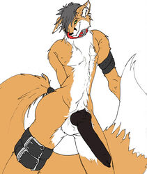 1boy anthro black_hair black_penis bracelet canine collar fox fur furry green_eyes hair hyper hyper_penis jewelry knot leg_band looking_at_viewer male male_only orange penis piercing short_hair solo standing tail tail_band unknown_artist