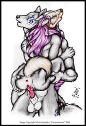 2006 anthro anus balls big_balls breasts brown canine claws couple crescentmoon female fur furry glans grey grey_hair hair holding lift long_hair male markings nipples nude penetration penis purple_hair pussy raised_tail sex sheath sideboob straight tail vaginal_penetration wolf