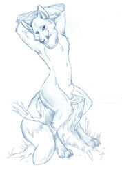 anthro canine fox fur furry male male_only nduli nude sheath