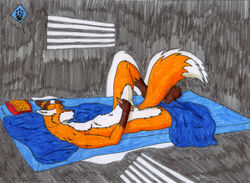 1boy anthro bed canine darkness fox fur furry konu konu_eikuku_hentaru male male_only masturbation mattress nude on_back penis shadow solo spread_legs spreading tired xaafw