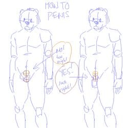 1boy anthro artdecade bear english_text furry male male_only nude sketch solo text tutorial white_background
