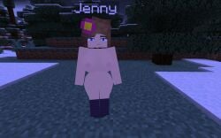 jenny_belle_(slipperyt) minecraft tagme