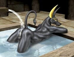 1boy anthro anubian_jackal anubis balls bath canine deity egyptian fur furry jackal looking_at_viewer male male_only raised_tail solo tail water wooky