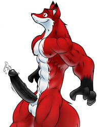 anthro black_penis bng canine cum fox fur furry huge_cock male male_only penis precum red red_eyes solo standing tail