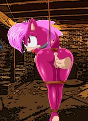 absurd_res anthro anus ball_gag basement bondage bound dic_entertainment disembodied_penis female frost_norde gag genitals hedgehog_(sci) hi_res human human_on_anthro humanoid_genitalia interspecies male male/female mammal penis pussy red_eyes sega sex sonia_the_hedgehog sonic_(series) sonic_the_hedgehog_(series) sonic_underground vaginal_penetration