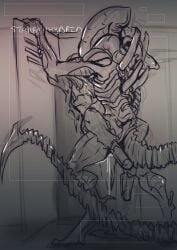 1boy 1girls alien alien/human alien_(franchise) artist_signature cum cum_drip greyscale human interspecies lifting lifting_person locker_room male_xenomorph sex sketch starfallhybrid_(artist) tagme xenomorph