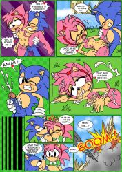 amy_rose classic_amy_rose classic_sonic comic cum raianonzika sonic_(series) sonic_cd sonic_the_hedgehog text vaginal_penetration wholesome zerbukii