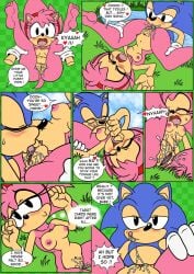 amy_rose classic_amy_rose classic_sonic comic cunnilingus female_pov giver_pov licking_pussy nude nude_female raianonzika sex sonic_(series) sonic_cd sonic_the_hedgehog text wet_pussy zerbukii