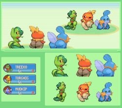 big_ass big_breasts big_butt female female_only furry hourglass_figure huge_ass huge_breasts hyper_ass hyper_breasts mudkip multiple_girls pixel pixel_(artwork) pixel_art pokémon_(species) pokemon pokemon_(species) sabs3 sprite sprite_art sprite_edit sprite_sheet tagme torchic treecko