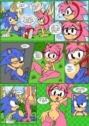 amy_rose classic_amy_rose classic_sonic comic cum raianonzika sonic_(series) sonic_cd sonic_the_hedgehog text wholesome zerbukii