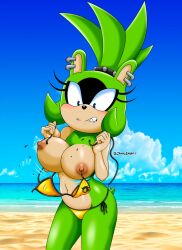 1girls accidental_exposure afrosoricid artist_name big_breasts bikini bikini_bottom bikini_top blue_eyes blush breasts breasts_out chaosknight_1 ear_piercing female fur furry green_body idw_comics idw_publishing mobian_(species) nipples sega sharp_teeth skimpy solo solo_female sonic_(series) sonic_the_hedgehog_(comics) sonic_the_hedgehog_(idw) sonic_the_hedgehog_(series) surge_the_tenrec tenrec topless wardrobe_malfunction water