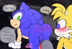 anus ass balls blush casual duo english_text exposed_torso footwear genitals handwear male male/male onechan sega sonic_(series) sonic_the_hedgehog sonic_the_hedgehog_(series) tails text