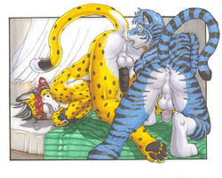 anal anal_sex anthro anus arjuna ass ass_up balls bed blindfold blue_tiger bondage feline fur furry furry_only leopard male oral penetration penis perineum rimming tiger yaoi