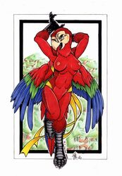 2003 avian bird breasts female loupgarou macaw nude parrot pose pussy rainbow solo