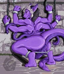 1futa anus ass back balls bondage chains crouching diphallia diphallism dragon enth futanari hair intersex multi_arm multi_limb multi_penis muscular muscular_futanari penis penis_tail penis_tentacles purple raised_tail scalie solo_futa tail tail_penis tentacle tetraphallia