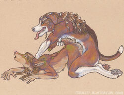 anthro beagle canine closed_eyes couple coyote dog doggy_style female feralityillustration from_behind fur furry holding_tail male nude on_front penetration pinned raised_tail sex straight tail tail_grab vaginal_penetration