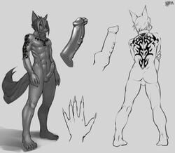 anthro canine claws collar frenor frenum_ladder frenum_piercing fur furry knot male model_sheet monochrome muscles nude onta penis penis_piercing piercing prince_albert_piercing tattoo wolf