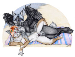 anthro balls beach black blue_eyes breasts brown canine collar couple female fox from_behind fur furry grey khaos korrok leash male navel nipples nude on_side outside penetration penis pussy red_eyes seaside sex sheath spoons_position straight vaginal_penetration white_fur wings