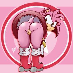 amy rose from sega by lxd369