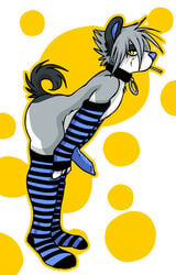 1boy 2008 anthro arm_warmers blue_penis canine chubby collar fur furry klee_kai knot leg_wamers lollipop male male_only muzz muzz_(character) nude socks solo stripes