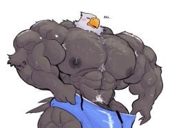 apollo (animal crossing) from animal crossing by majestictweive