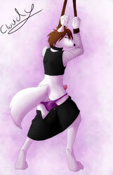 anthro ass bondage canine canine_penis cloudy_kitty crossdressing erection exposed femboy fishnets fur furry male male_only panties penis rope sabuteur skirt solo tank_top underwear wolf