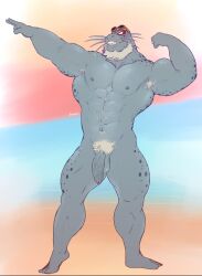 anthro balls bara barazoku beard burrserk eye_markings facial_hair flexing furry gay grey_body grin looking_at_viewer male male_only marine muscles muscular my_hero_academia penis seal selkie_(my_hero_academia) solo solo_male spotted_seal whiskers white_hair