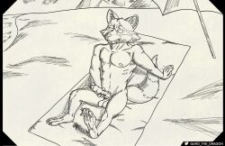 2022 absurd_res anthro balls beach claws closed_eyes exhibitionism extended_arm extended_leg fangs foreskin garo_(artist) genitals guardians_of_the_galaxy hi_res kinktober male male_only mammal marvel masturbation monochrome mountain muscular nipples pecs penis procyonid public raccoon rocket_raccoon seaside short_stack shortstack simple_background sitting snout solo towel