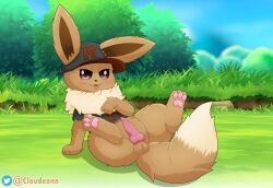 animal_genitalia animal_penis balls brown_body canine_penis clothing cloudeon day eevee feral generation_1_pokemon genitals hat headgear headwear hi_res looking_at_viewer male nintendo outside penis pokemon pokemon_(species) solo spread_legs spreading video_games