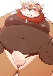 2022 anthro belly big_belly blush brown_body bulge canid canine clothed clothing dosanco15 erection erection_under_clothing hi_res humanoid_hands kemono male mammal moobs navel nipples overweight overweight_male solo underwear