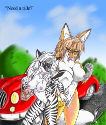 10s 2010 2010s 2girls anthro big_breasts black_sclera blue_eyes blue_sky breasts brown_hair canid canine car cloud duo ear_piercing ear_ring english_text facial_piercing felid female fox fur genitals grass hair hill hillside hybrid kitsune_urufu lip_piercing mammal mephitid multiple_girls navel nipple_piercing nipples nude open_mouth outdoors pantherine piercing plant purse pussy red_eyes red_fingernails ring_piercing road skunk sky striped_body striped_fur stripes text tiger tongue tongue_out vehicle viroveteruscy white_hair world_gates zig_zag