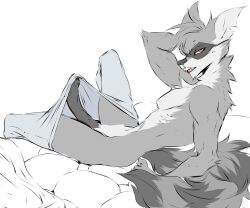 sly cooper from sly cooper (series) by dullvivid