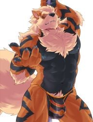 2022 abs anthro anthrofied arcanine bara beckoning bedroom_eyes big_bulge big_muscles bulge claws clothed clothing detailed_bulge eyebrows fur generation_1_pokemon gesture hi_res kousen looking_at_viewer male male_only mane muscular muscular_anthro muscular_male narrowed_eyes navel nintendo nipples obliques pecs pokemon pokemon_(species) pokemorph pole pubes seductive simple_background solo standing stripper_pole teeth thong topless topless_anthro topless_male tuft underwear video_games white_background