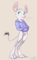 animancer bottomless clothed clothing dipodid female fur green_eyes hi_res hoodie jerboa luck_(animancer) mammal no_humans rodent topwear white_body white_fur