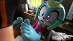 1futa 1girls 3d animation footjob jewel_the_beetle sja1986 sonic_(series) tagme video