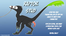 2008 ashton_greenwood claws cloaca dinosaur english_text erection feathers feral gradient_background male penis plague pocketbat_inc raptor raptor_stud_service scalie text