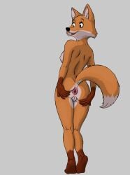 anus disney female fox furry gaping gaping_anus robin_hood_(disney) tagme