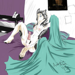 anthro bed black black_nose breasts canine erection female fur furry herm heterochromia intersex knot matrix626 morning_wood nipples nude penis pussy rule_63 sheath small_breasts solo uhoh waking white_fur wolf